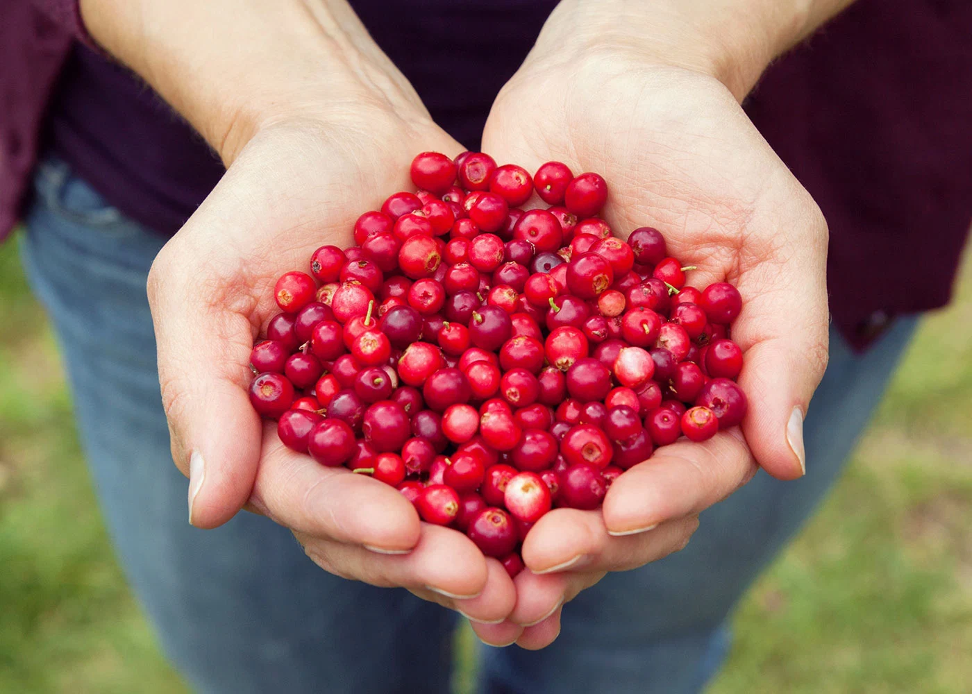 Tackle UTIs using the power of nature