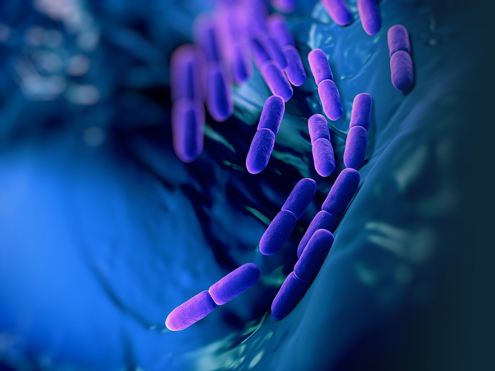 Supreme Microbiom origin